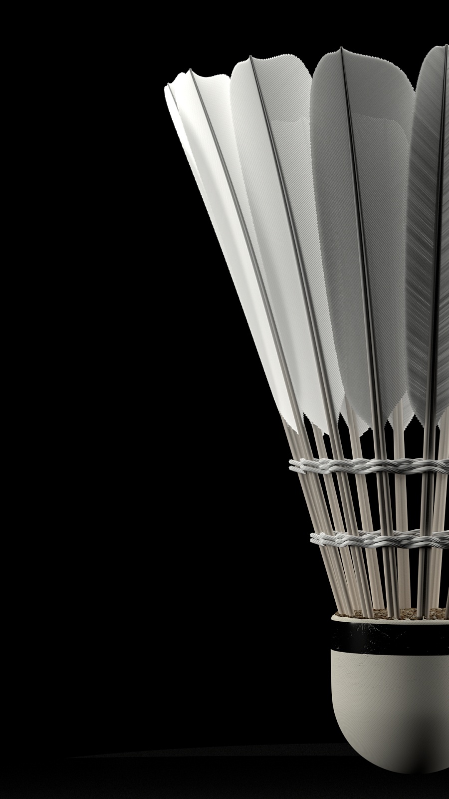 放大了我们 放大了我们